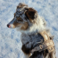 Load image into Gallery viewer, 'Sand' - Sherpa Dog Harness