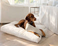 Load image into Gallery viewer, Bowsers The Avenue Orthopedic Dog Bed in natura
