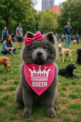 Load image into Gallery viewer, Parisian Pet 'Drama Queen' Bandana for Dogs & Cats - Fashionable, Comfortable, Fun Pink Dog & Cat Bandana, Trendy Pet Accessory