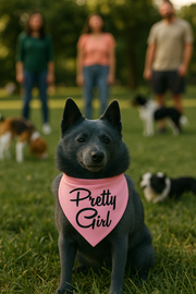 Parisian Pet 'Pretty Girl' Bandana - Fashionable, Comfortable Pink Pet Bandana for Dogs & Cats, Trendy Pet Fashion Accessory