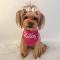 Load image into Gallery viewer, Parisian Pet 'Princess' Bandana for Dogs & Cats - Stylish, Trendy, Comfortable Pink Dog Bandana for Special Occasions