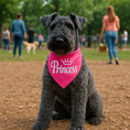 Load image into Gallery viewer, Parisian Pet 'Princess' Bandana for Dogs & Cats - Stylish, Trendy, Comfortable Pink Dog Bandana for Special Occasions