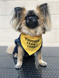 Load image into Gallery viewer, Parisian Pet 'Tougher Than I Look' Bandana - Comfortable, Stylish Yellow Dog & Cat Bandana, Trendy Design