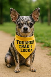 Parisian Pet 'Tougher Than I Look' Bandana - Comfortable, Stylish Yellow Dog & Cat Bandana, Trendy Design