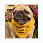 Parisian Pet 'Tougher Than I Look' Bandana - Comfortable, Stylish Yellow Dog & Cat Bandana, Trendy Design