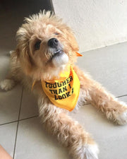 Parisian Pet 'Tougher Than I Look' Bandana - Comfortable, Stylish Yellow Dog & Cat Bandana, Trendy Design