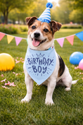 Load image into Gallery viewer, Parisian Pet 'Birthday Boy' Dog Bandana – Happy Birthday Pet Outfit, Fun Party Scarf for Dogs & Cats, Stylish & Comfy Celebration Clothing, Blue