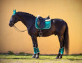 Load image into Gallery viewer, Teal Saddle Pad Set