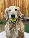 Load image into Gallery viewer, Happy Tennis Ball