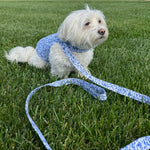 Blue Floral Toile Harness