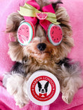 Load image into Gallery viewer, Hydrating Butter Balm - For Nose and Paws