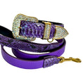 Load image into Gallery viewer, Amethyst Royale Python Set