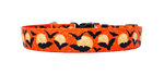 Moon Orange with Bats Dog Collar