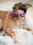 Load image into Gallery viewer, OMBRE WOOLBONE - Southlake Paws