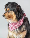 Load image into Gallery viewer, GINGHAM BANDANA - Southlake Paws