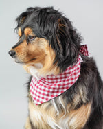 GINGHAM BANDANA