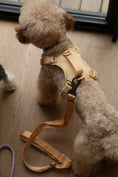 Load image into Gallery viewer, NO PULL ACTIVE PET HARNESS - APRICOT