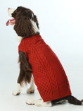 Load image into Gallery viewer, Pet Sweater Vest - Red