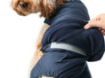 Load image into Gallery viewer, Reversible Dog Vest Jacket - Blue