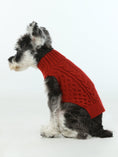 Load image into Gallery viewer, Pet Sweater Vest - Red