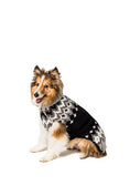 Load image into Gallery viewer, Black Ski Wool Dog Sweater