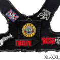 Load image into Gallery viewer, Guns N' Roses Harness