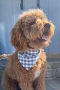 Load image into Gallery viewer, GINGHAM BANDANA - Southlake Paws