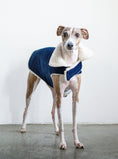 Load image into Gallery viewer, CORDUROY CLASSIC PET COAT