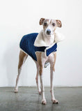 Load image into Gallery viewer, CORDUROY CLASSIC PET COAT