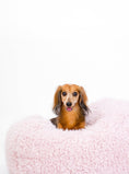 Load image into Gallery viewer, POD DOG BED - Southlake Paws