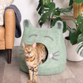 Load image into Gallery viewer, Cat Face Design | Ear Style Cave