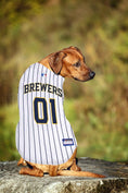 Load image into Gallery viewer, MLB Milwaukee Brewers Mesh Dog Jersey