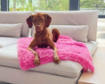 Load image into Gallery viewer, Bowsers Dog Furniture Cover & Blanket Topper in himilayan