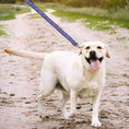Load image into Gallery viewer, Buffalo Bills Zubaz Leash