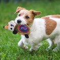Load image into Gallery viewer, Buffalo Bills Plush Hedgehog Toy
