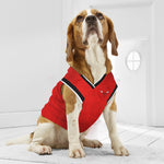 Chicago Bulls Mesh Basketball Jersey by Pets First