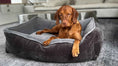 Load image into Gallery viewer, Bowsers B-Lounge Orthopedic Dog Bed in fawn