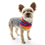 Bandana Rainbow