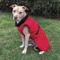 Load image into Gallery viewer, Up Country Basecamp Parka Pet Accessory