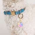 Load image into Gallery viewer, Beach Ball Pet Charm