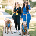 Load image into Gallery viewer, Beau Hands-Free Rope Dog Leash