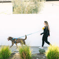 Load image into Gallery viewer, Beau Hands-Free Rope Dog Leash