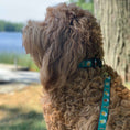 Load image into Gallery viewer, Up Country Beer Cast Brass Dog Collar