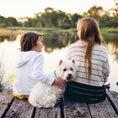 Load image into Gallery viewer, Up Country Bee Cast Brass Dog Collar