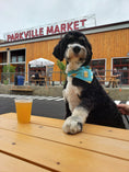 Load image into Gallery viewer, Beer Mug Dog Bandana