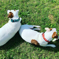 Load image into Gallery viewer, Up Country Beer Cast Brass Dog Collar