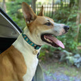 Load image into Gallery viewer, Up Country Beer Cast Brass Dog Collar