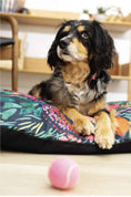 Load image into Gallery viewer, Bella Dog Bed