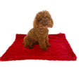 Load image into Gallery viewer, Blanket, Bella Red