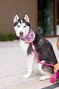Load image into Gallery viewer, Vera Dog Bandana